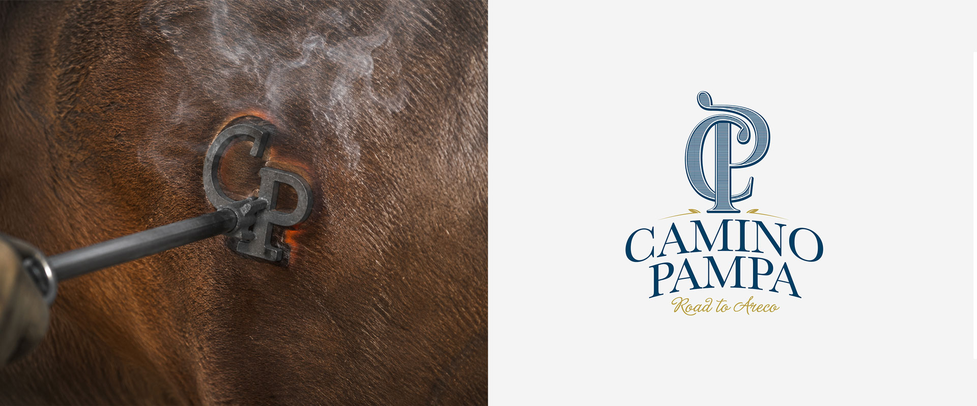 Camino Pampa identity